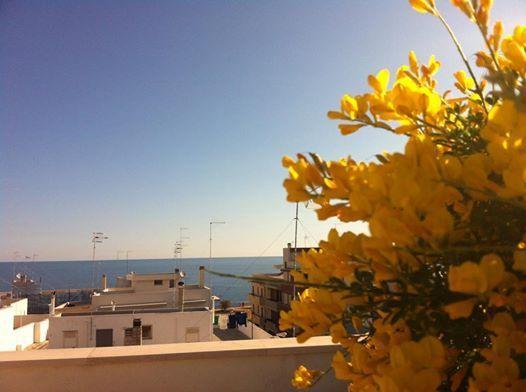 Dimora Delle Rondini Bed & Breakfast Polignano a Mare Exterior photo